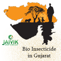 Bio Insecticide in Gujarat