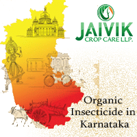 Organic Insecticide in Karnataka